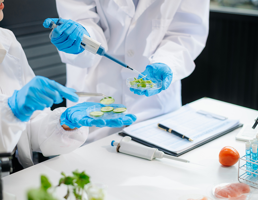 Тестирование пищевых продуктов и окружающей среды